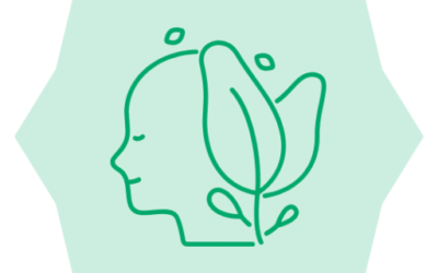 cropped-Logo-therapievergelijk.png