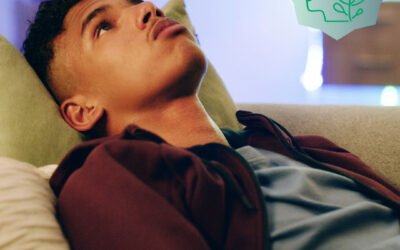 Wat is een flashback?